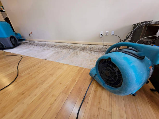 Professional Sewage Cleanup technician working in George, WA